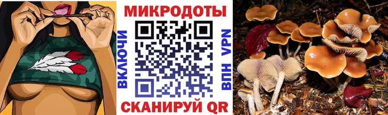 Галлюциногенные грибы прущие грибы  Гаврилов-Ям 