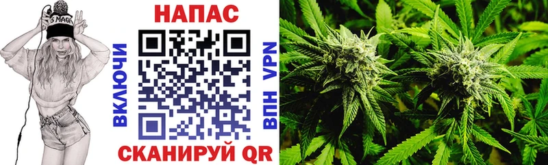хочу   Гаврилов-Ям  Бошки Шишки THC 21% 
